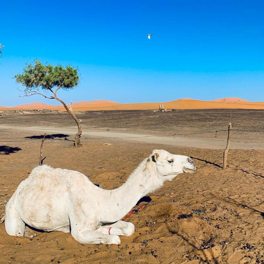 Maison Adrar Merzouga Zewnętrze zdjęcie